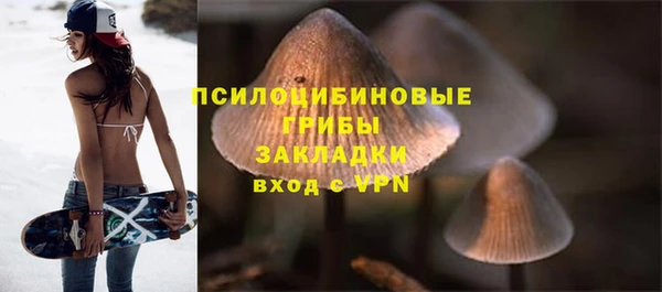 трава Баксан